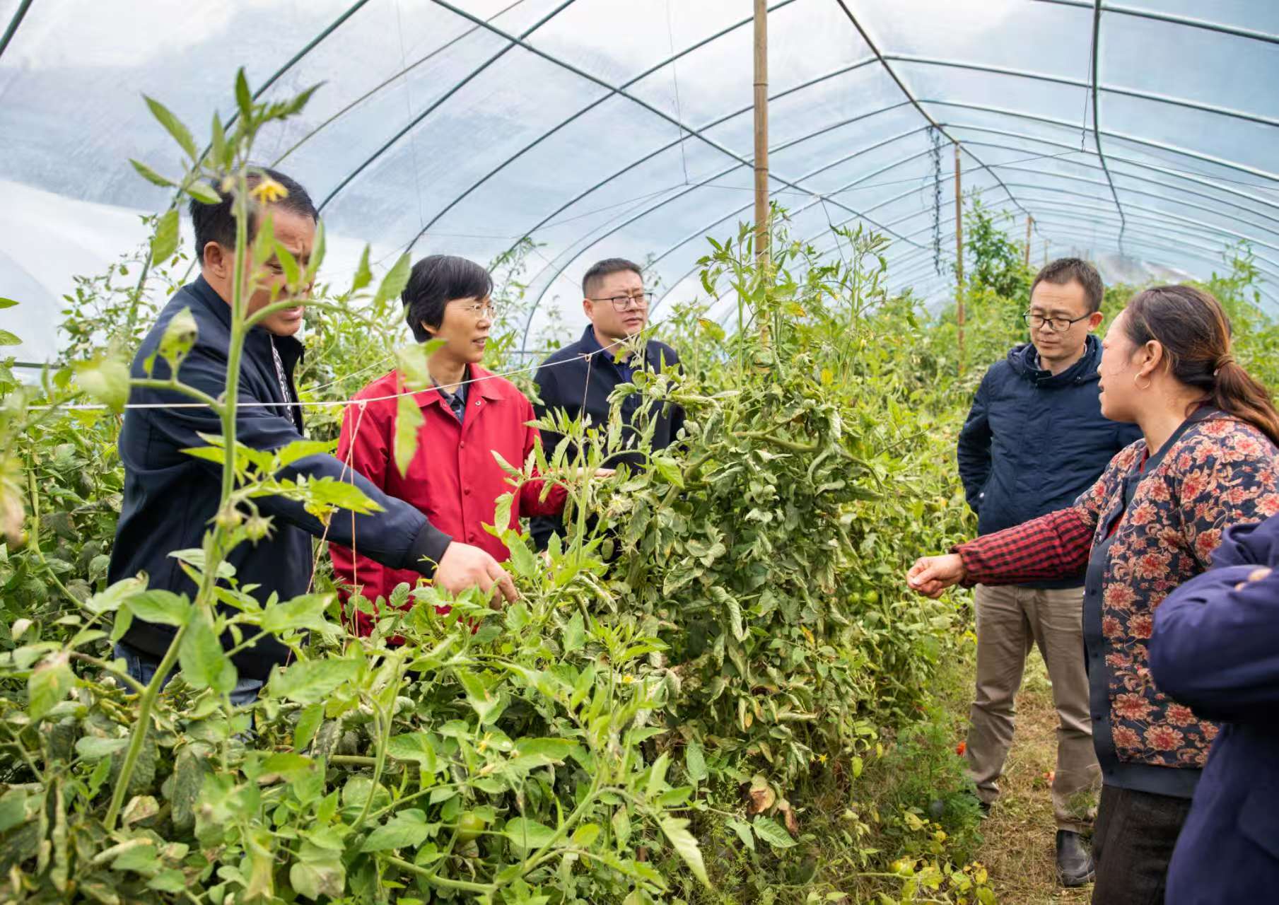 微信图片_20251103082346